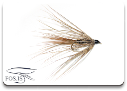 Carey Special